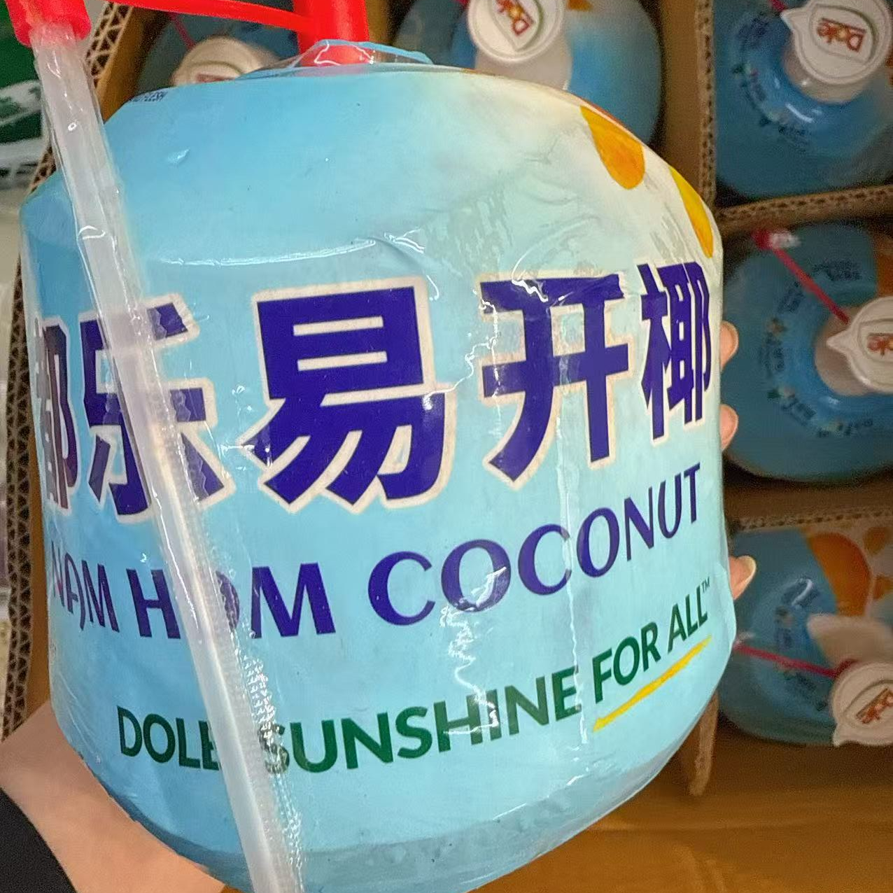 都乐易开椰青500g一个