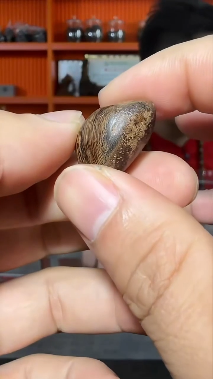 沉香吊坠a102号舍利子多样性发一