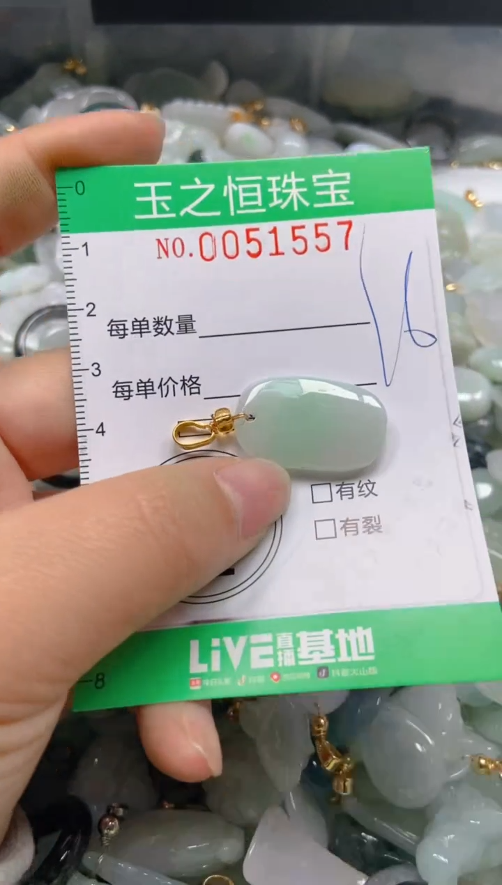 【闪购商品】翡翠颈饰未镶嵌闪购0051557