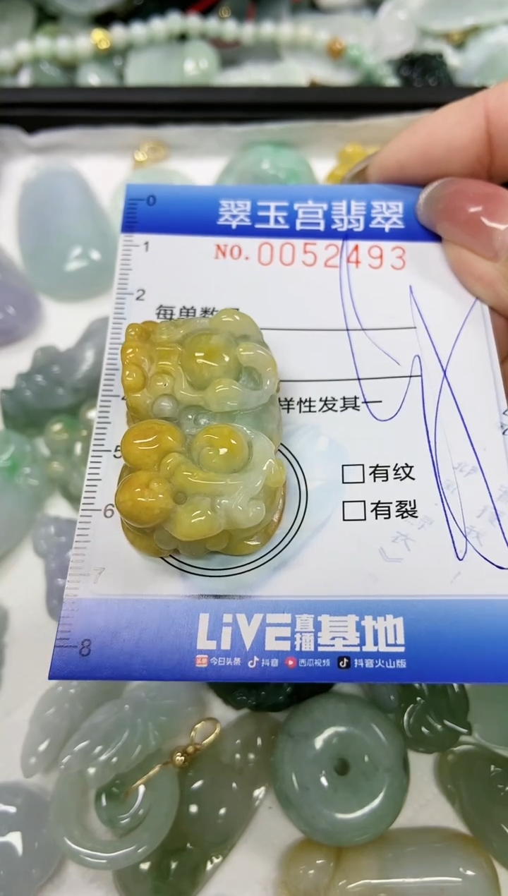 【闪购商品】翡翠颈饰未镶嵌闪购0052493