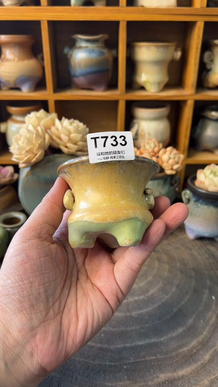 浅***念733【多肉花盆多肉盆】