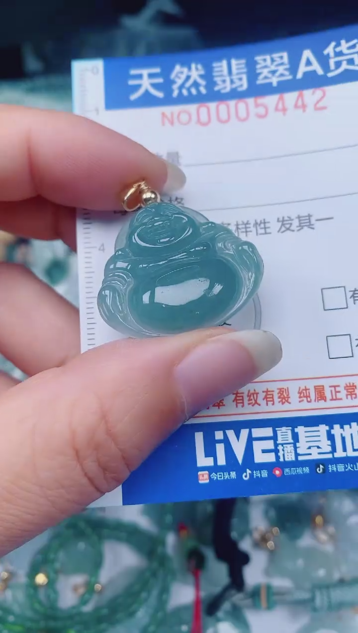 颈饰未镶嵌翡翠00005442
