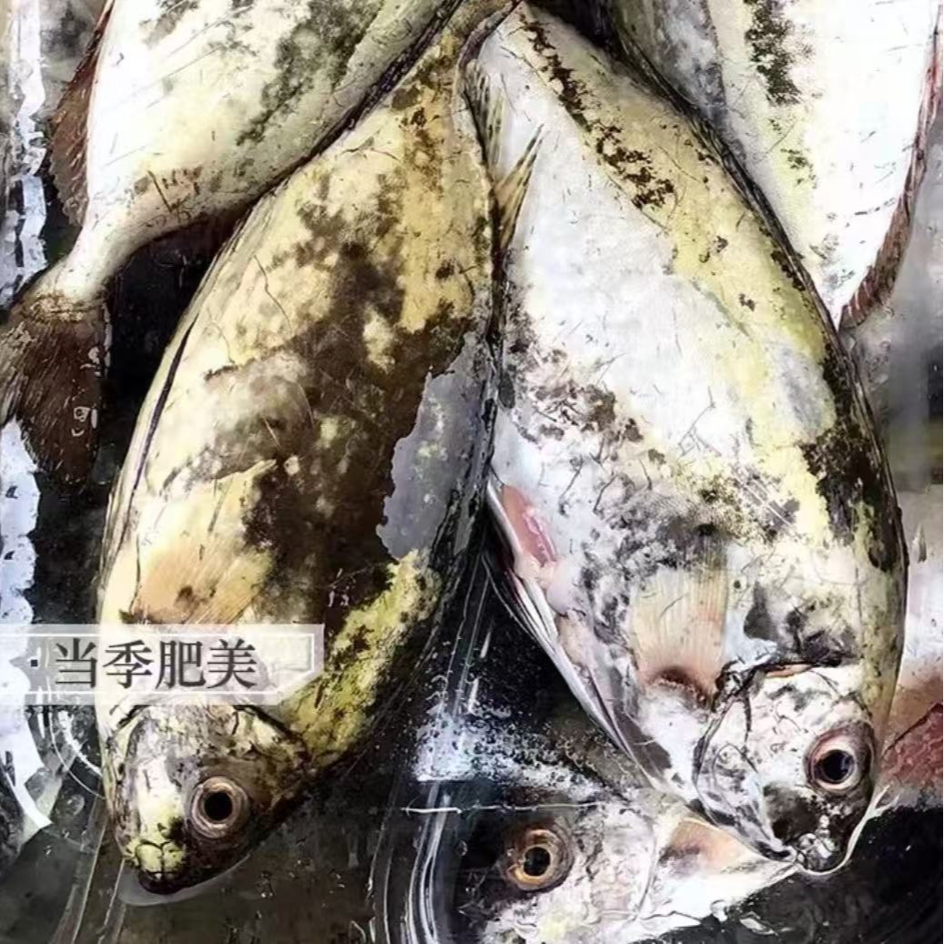 泥猛鱼 现称鱼虾蟹以直播间称重商品为准 包鲜/不包活泥猛鱼