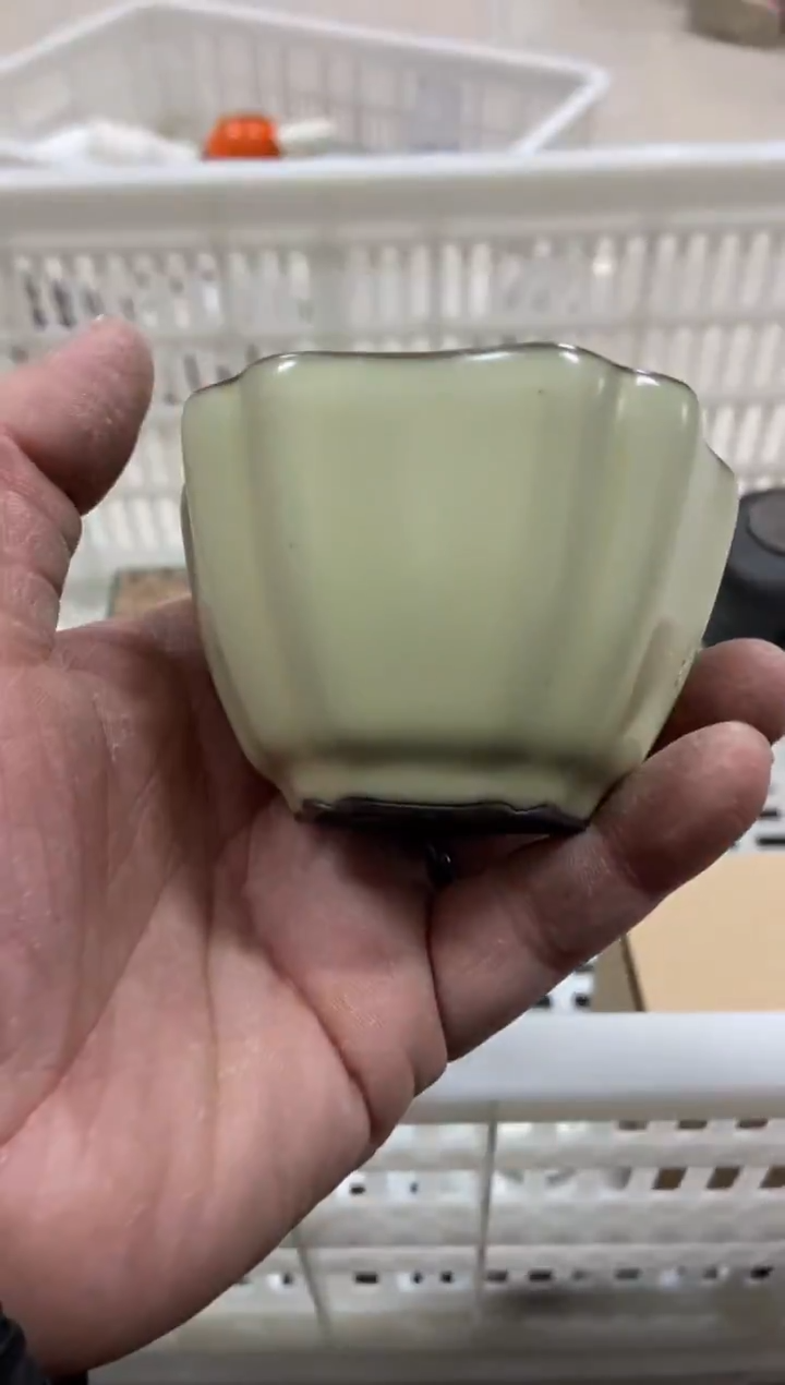 杯子瓷无运费险有瑕疵的摄影的产品有使用过的痕迹有点脏介意勿拍