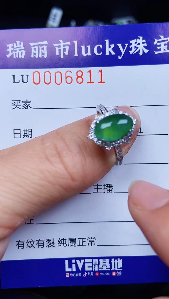 翡翠银S925镶嵌颈饰6811