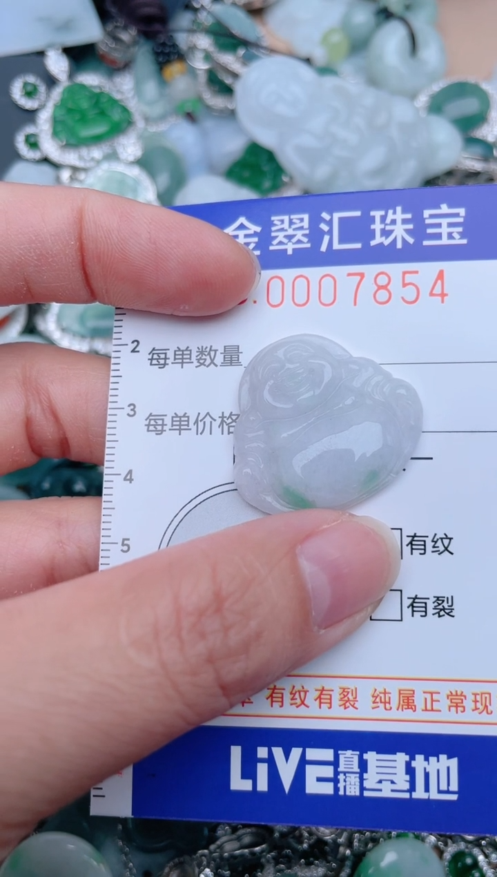 翡翠未镶嵌颈饰7854....