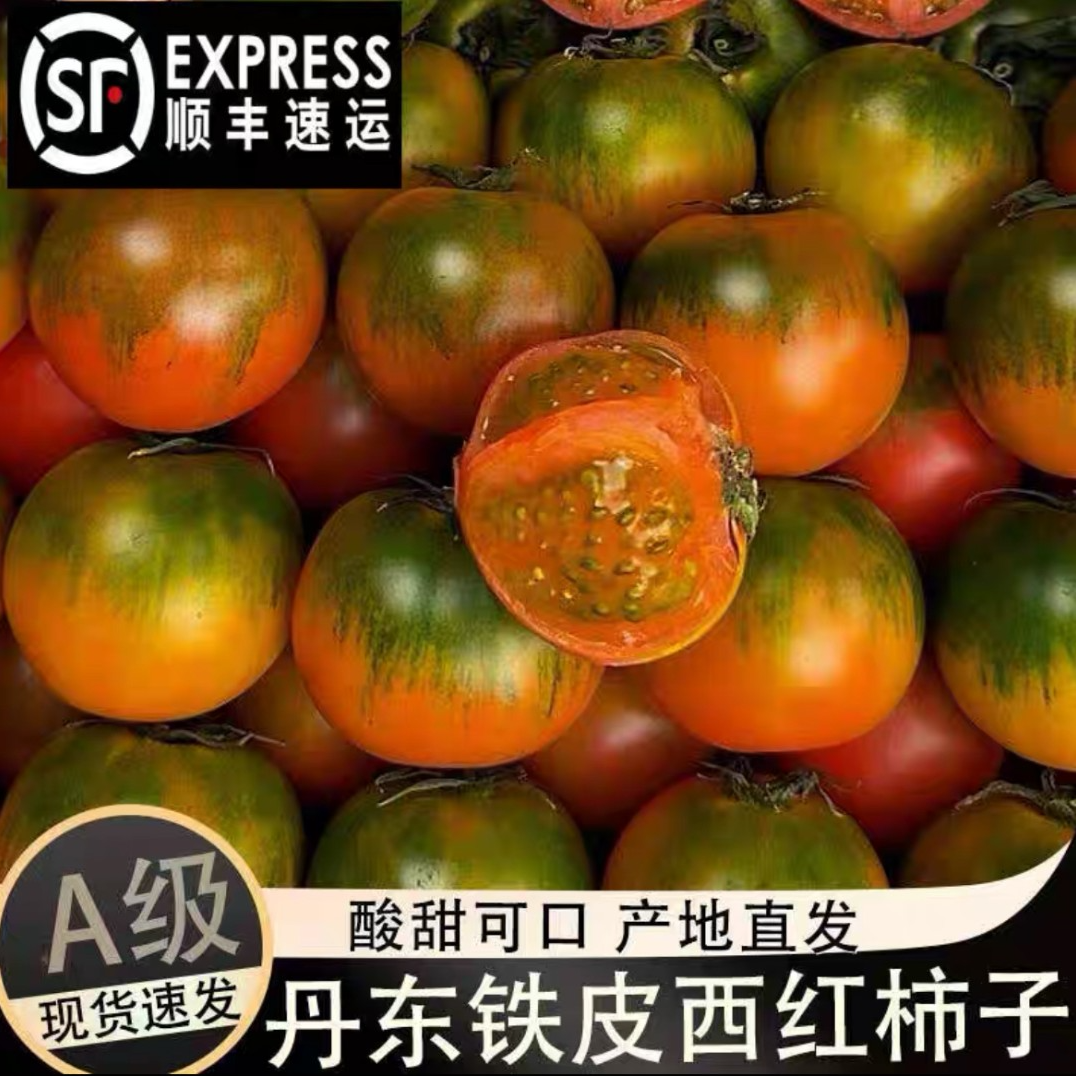 【明天到】丹东铁皮草莓柿子即食新鲜盘锦碱地自然熟绿腚正宗西红柿水果番茄草莓番茄盘锦市辽宁省盘锦市