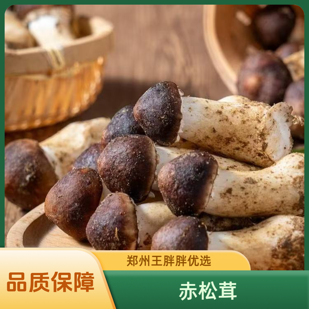 【赤松茸】新鲜美味   顺丰 配送   净重1.6斤