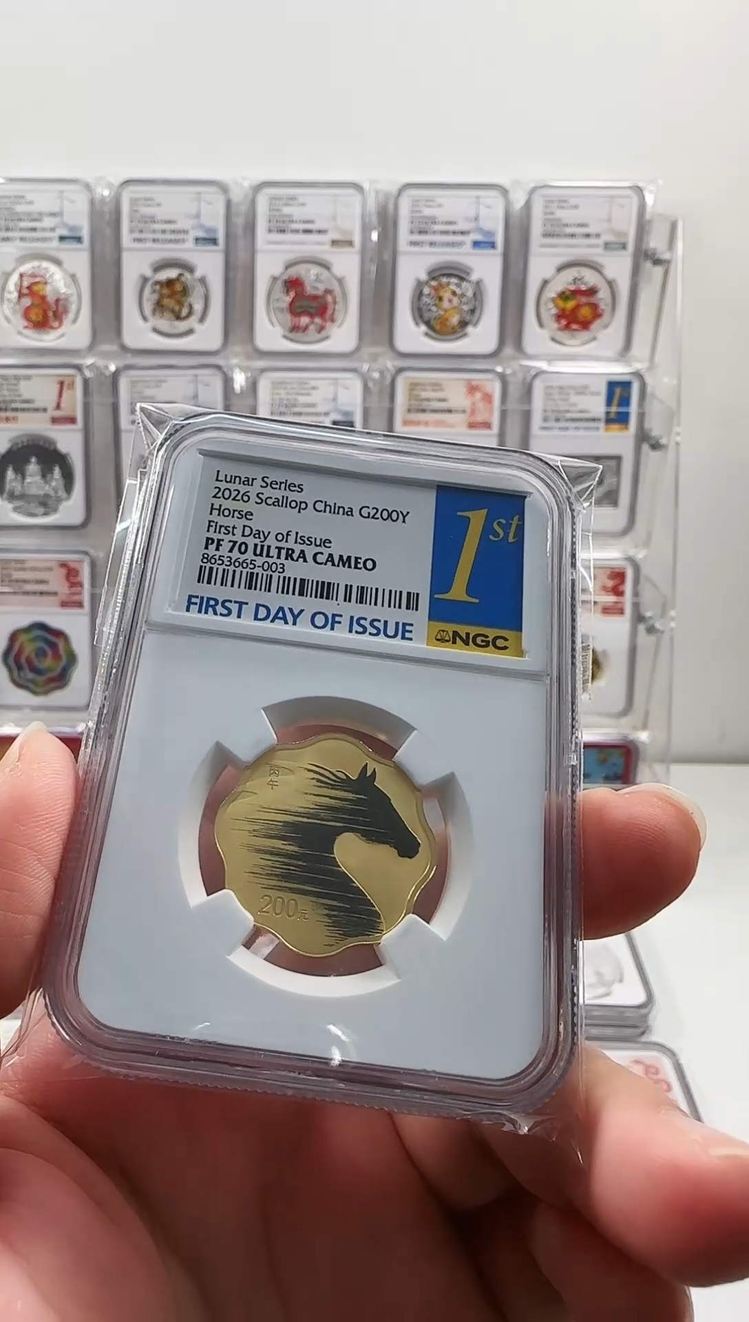 纯金2026年梅花马金币NGC70分首日蓝金证书无47