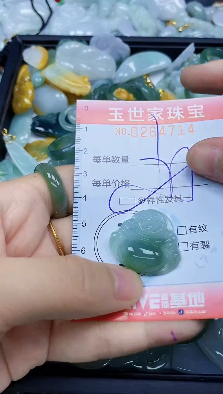 翡翠未镶嵌颈饰闪购0264714多样性发其一