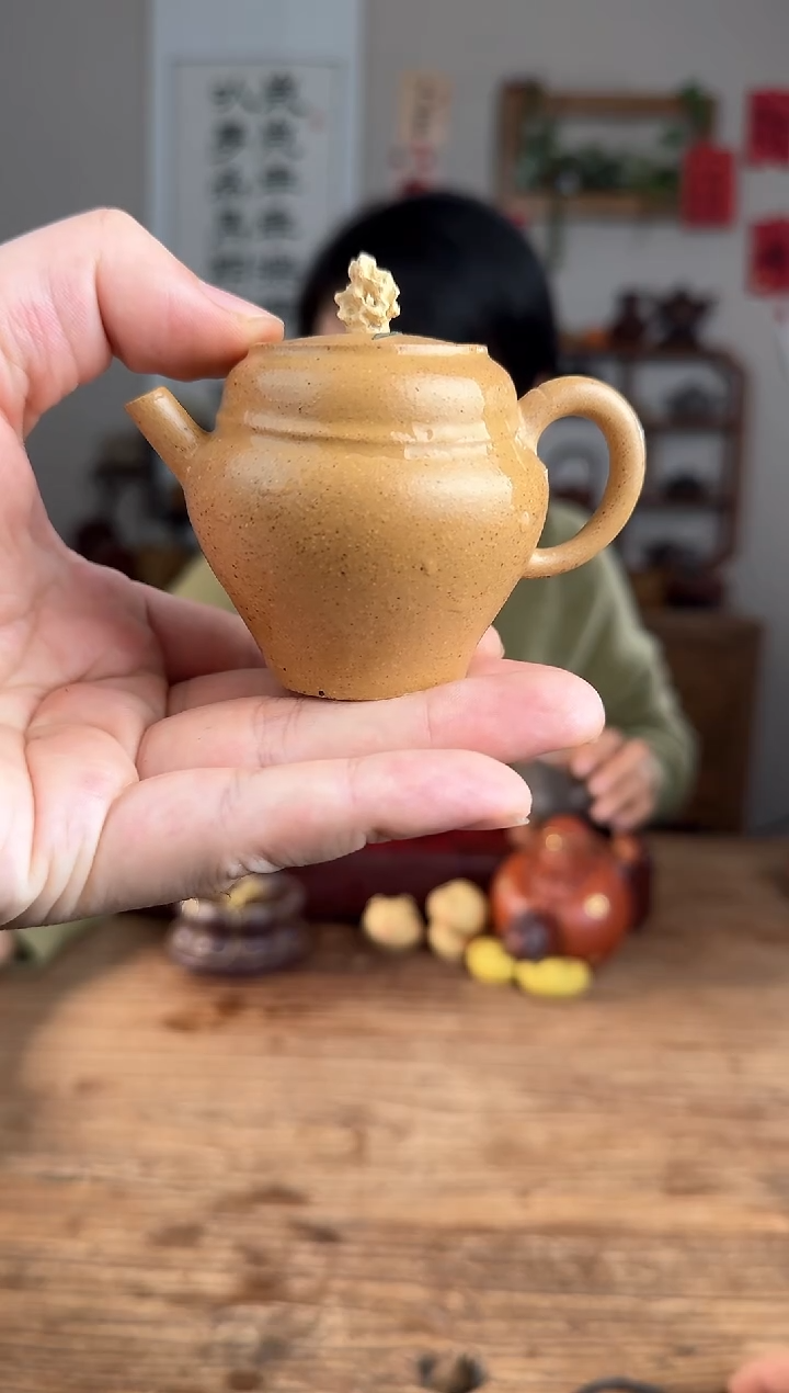 【闪购商品】紫砂茶壶幽香 四号井段泥