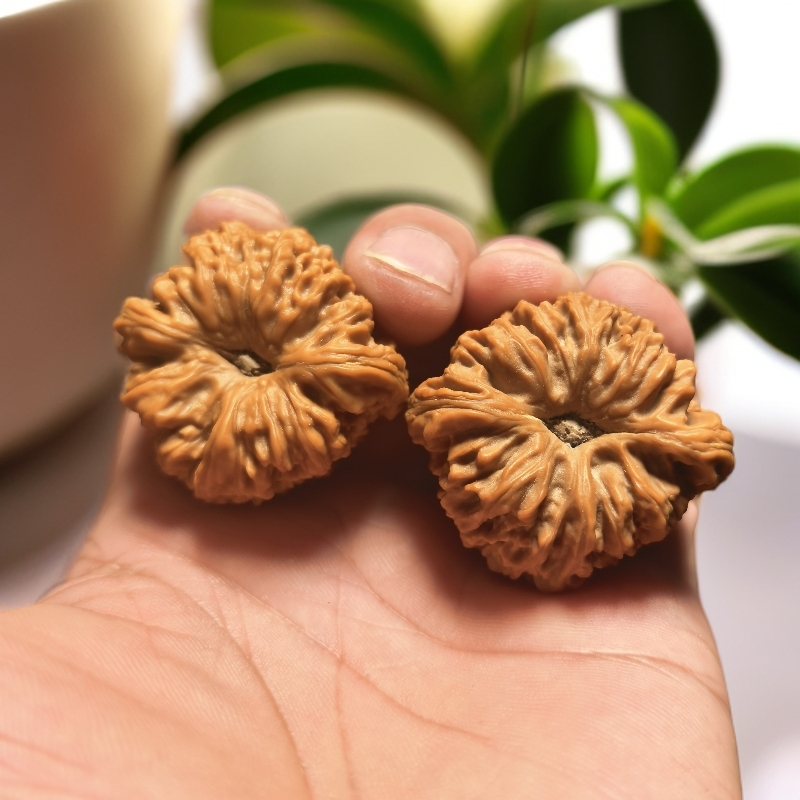 文玩核桃南疆石凹底手把玩件