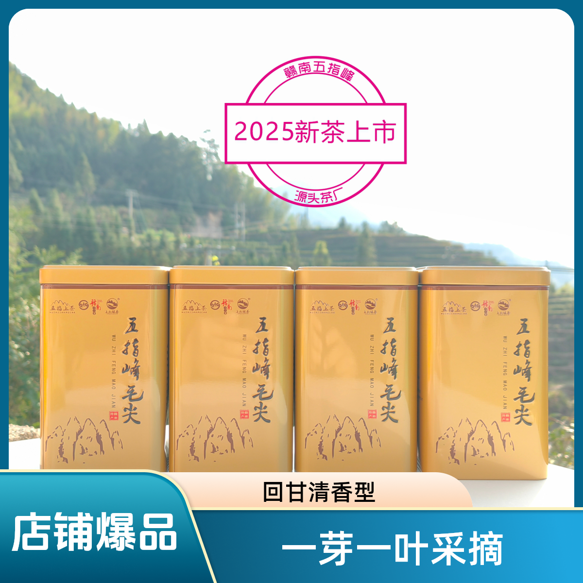 赣南五指峰-上犹高海拔毛尖茶（头春头采）人工采摘柴火炒制