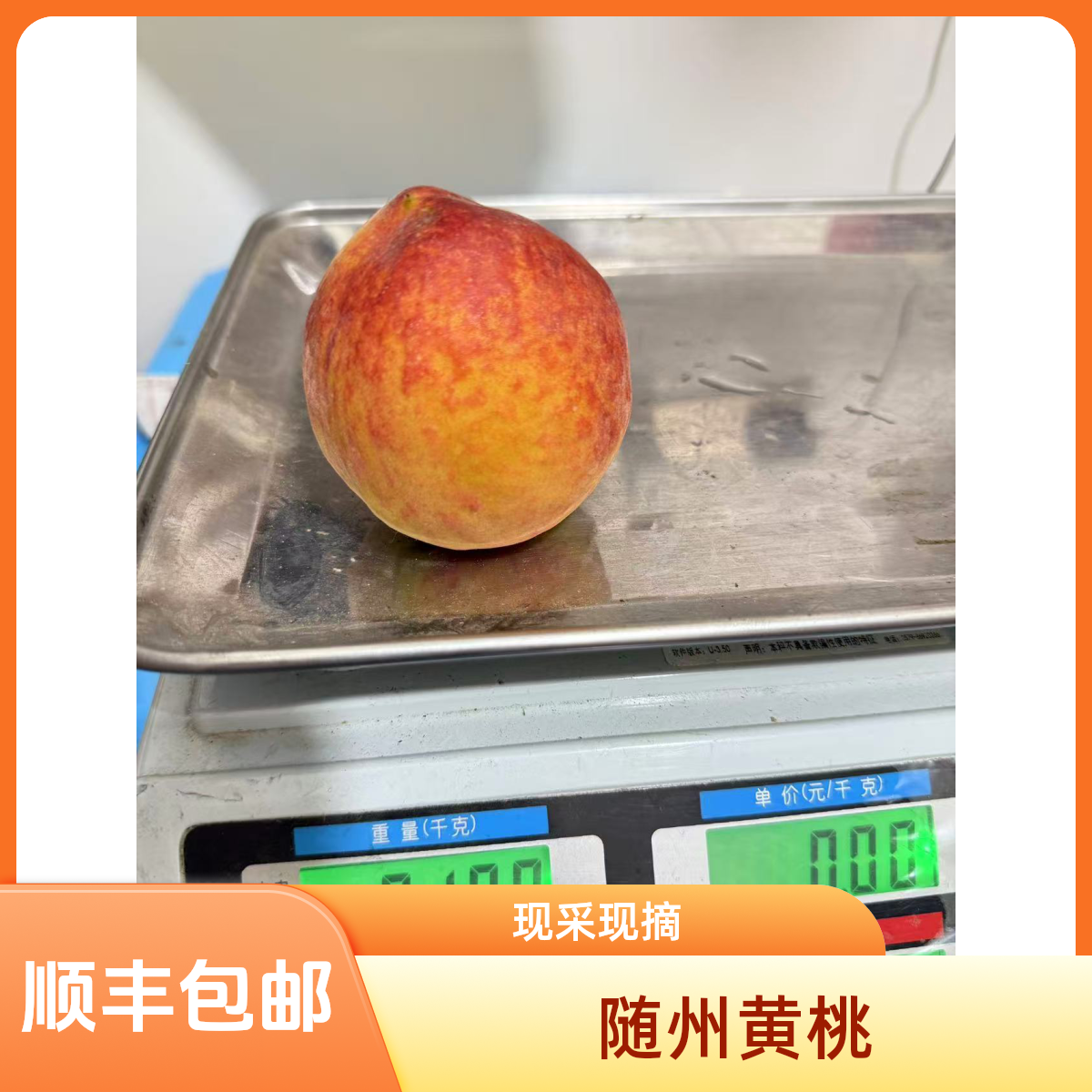 随州黄桃，黄金蜜1号，现场采摘，装箱
