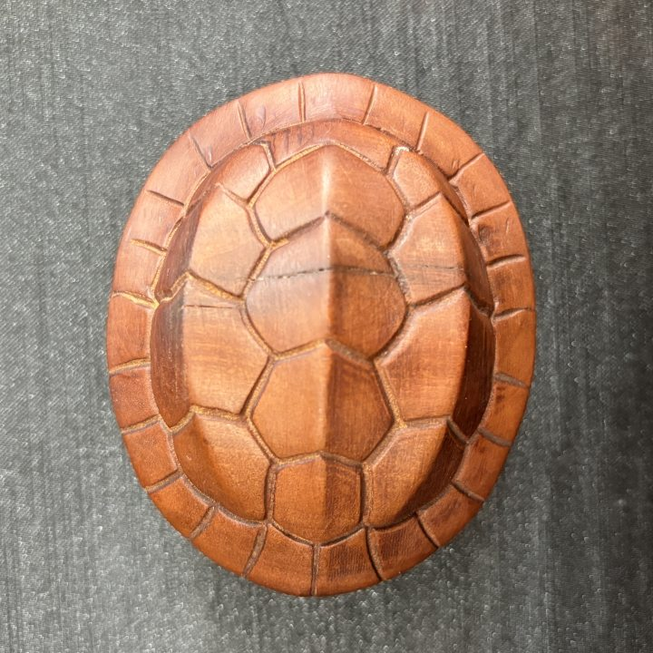 雷 枣木龟壳 摆件-551392