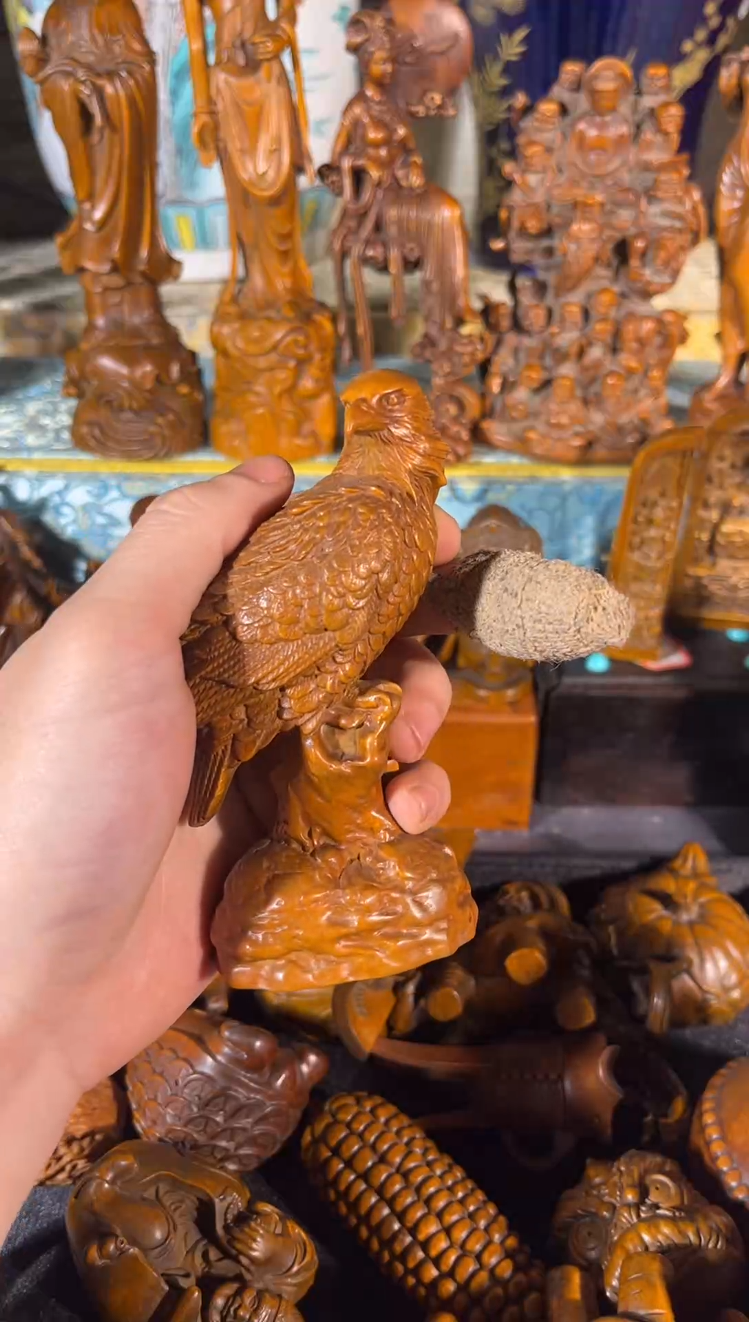 黄杨木11111111111111