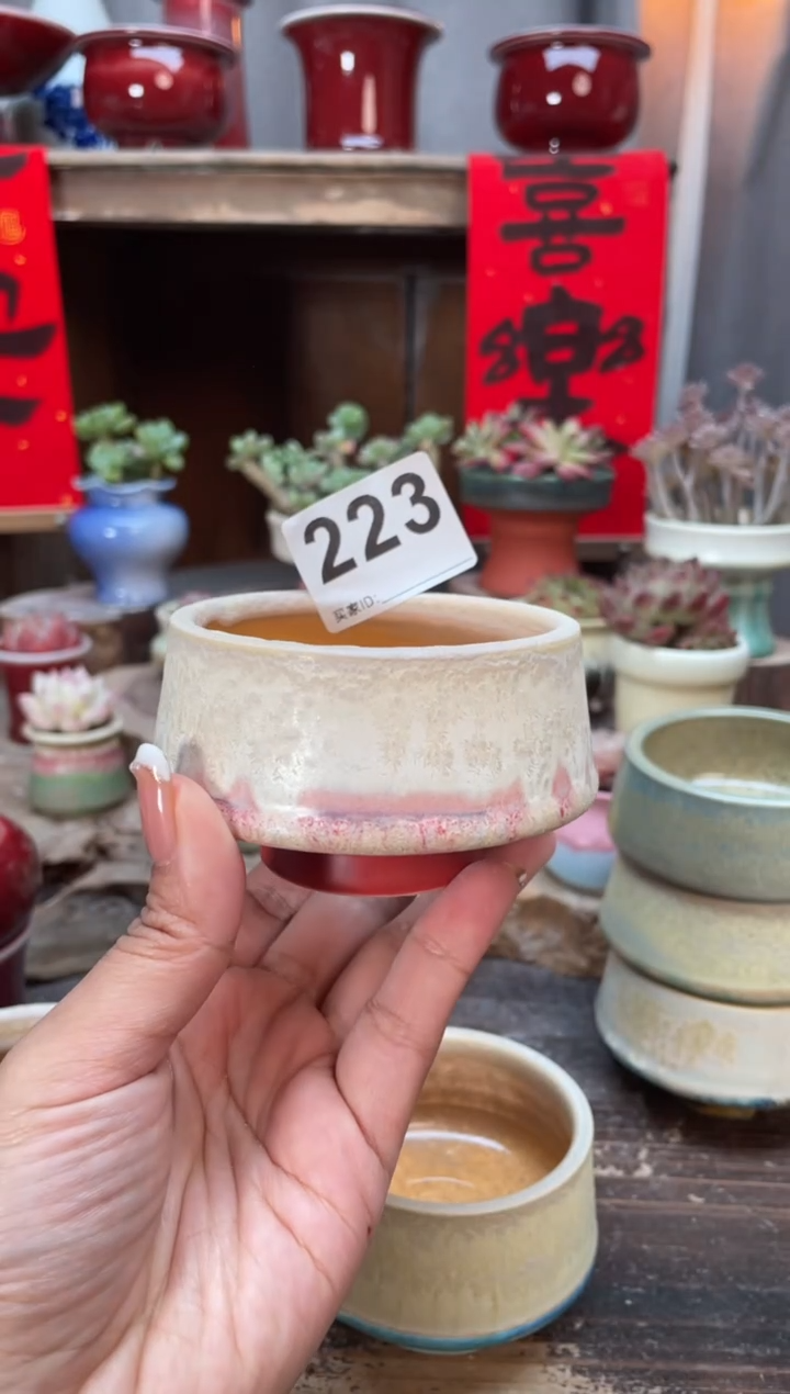 【闪购商品】摆件223知木小芳花盆编号