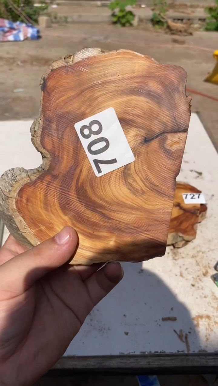 柏木（崖柏）太行崖柏切片一块（津诚林）708