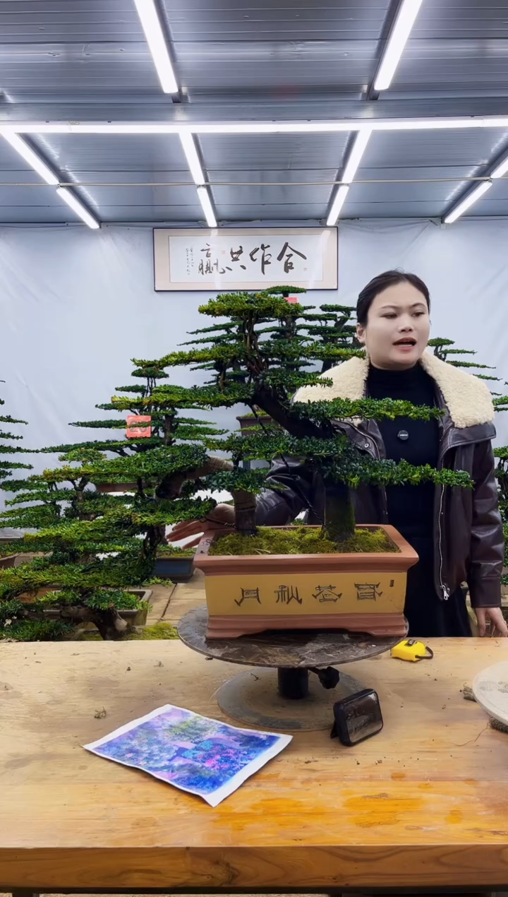 无花朵一物一拍，所见即所得