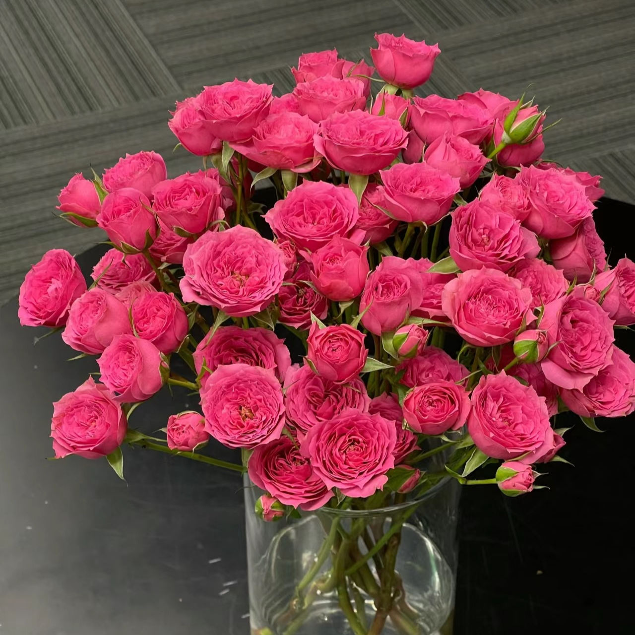 苏菲宝贝多头玫瑰 任意两单升级顺丰冷链 云南直发收到需深水醒花