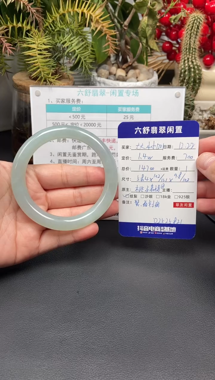 未镶嵌手镯翡翠大****1D2525821