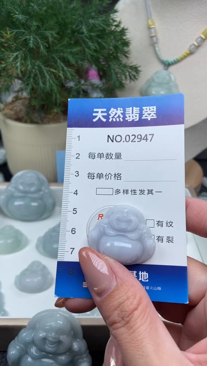 颈饰未镶嵌翡翠纯天然A货翡翠2947