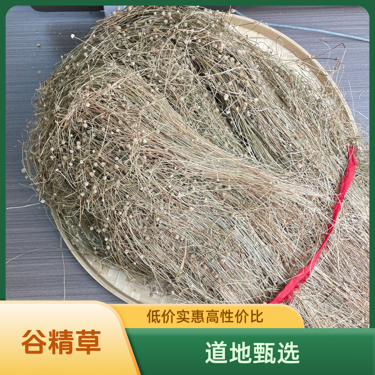 正宗精选好货【谷精草】 