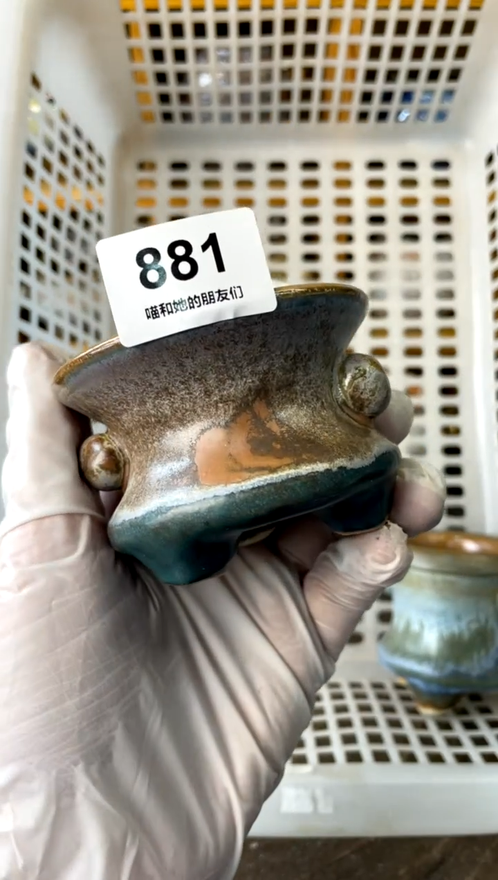 【闪购商品】陶微瑕881 内口6.5