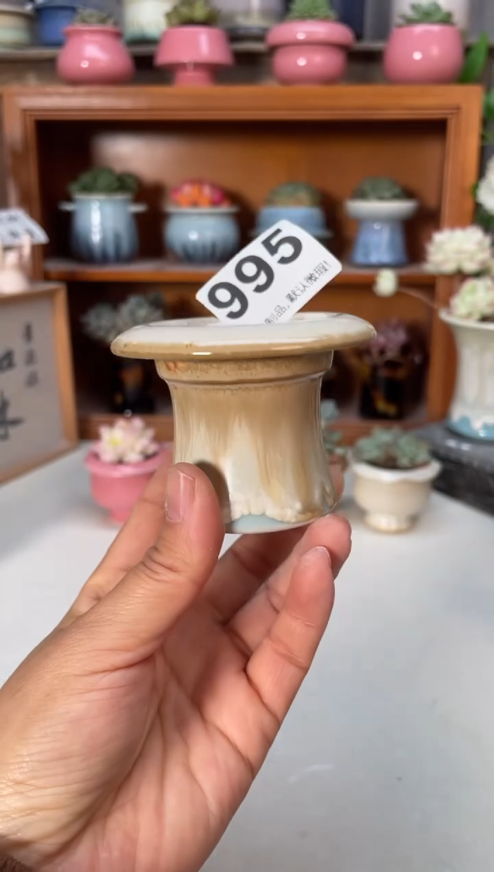 瓷片995小芳直播编号