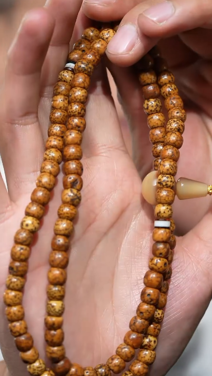 【闪购商品】老星月（多样性发货，发其一）