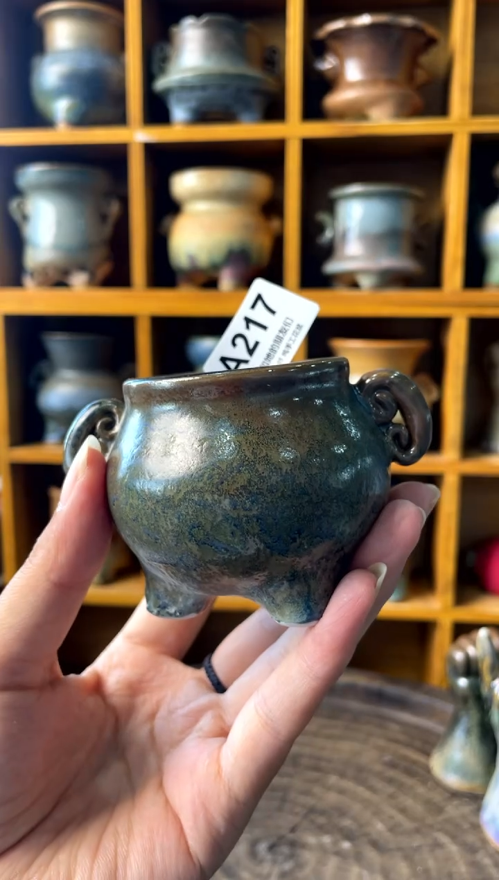 217【多肉花盆多肉盆】