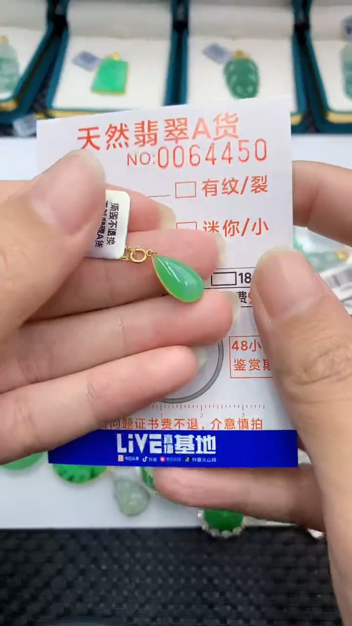 【闪购商品】翡翠颈饰18K金镶嵌            8