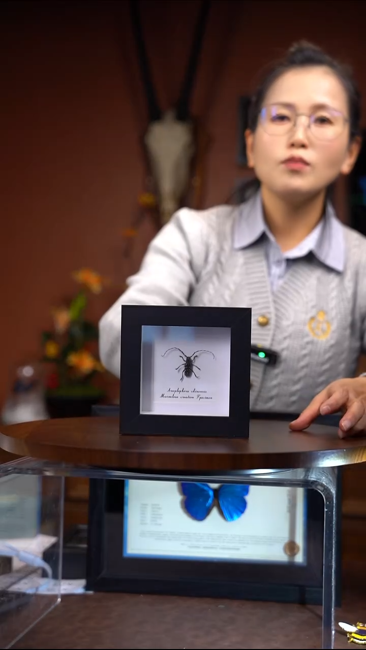 N795  星天牛4寸相框