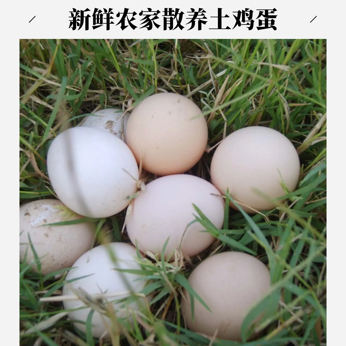 徽韵农家土鸡蛋初生蛋（50枚）