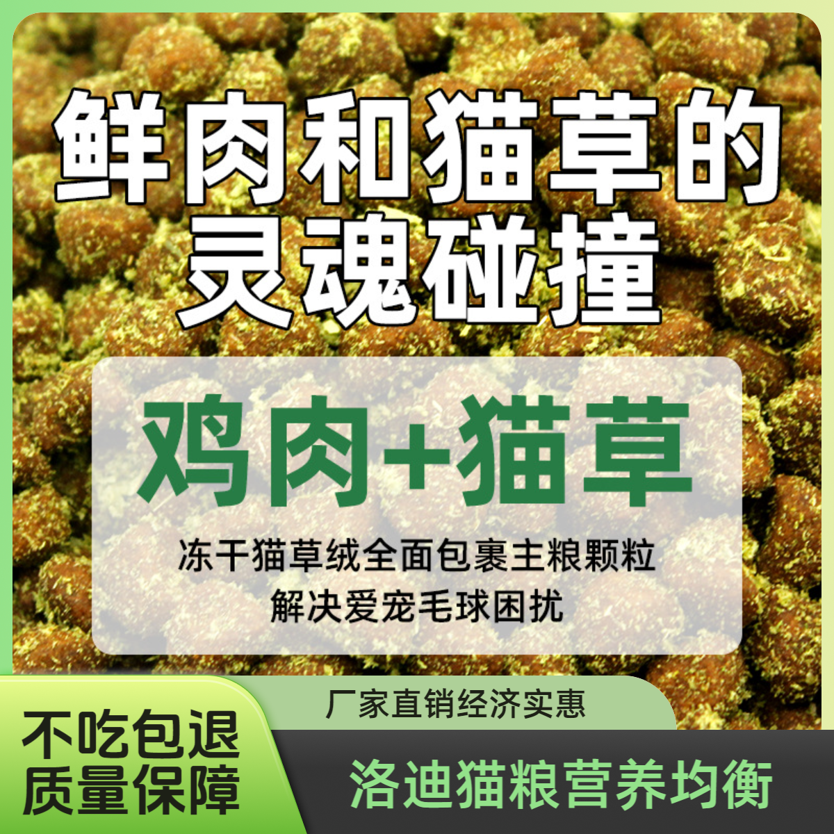 洛迪成猫幼猫通用营养均衡牛肉益生元发腮猫粮厂家直销经济实惠