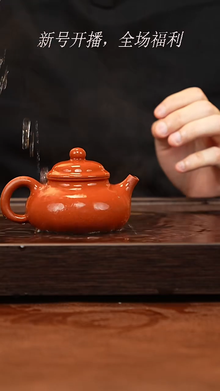 茶壶紫砂20y19赵庄老朱泥容天160cc