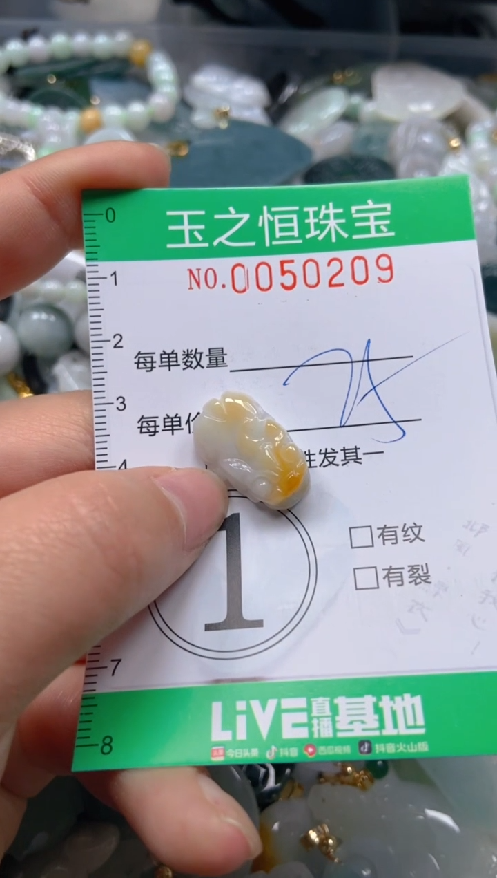 【闪购商品】翡翠颈饰未镶嵌闪购0050209
