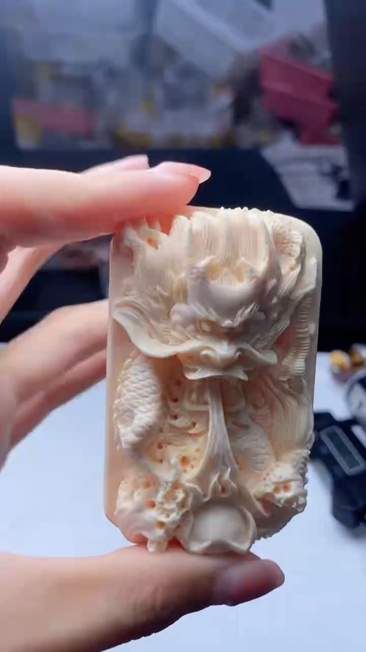 所见即所得  310  龙牌