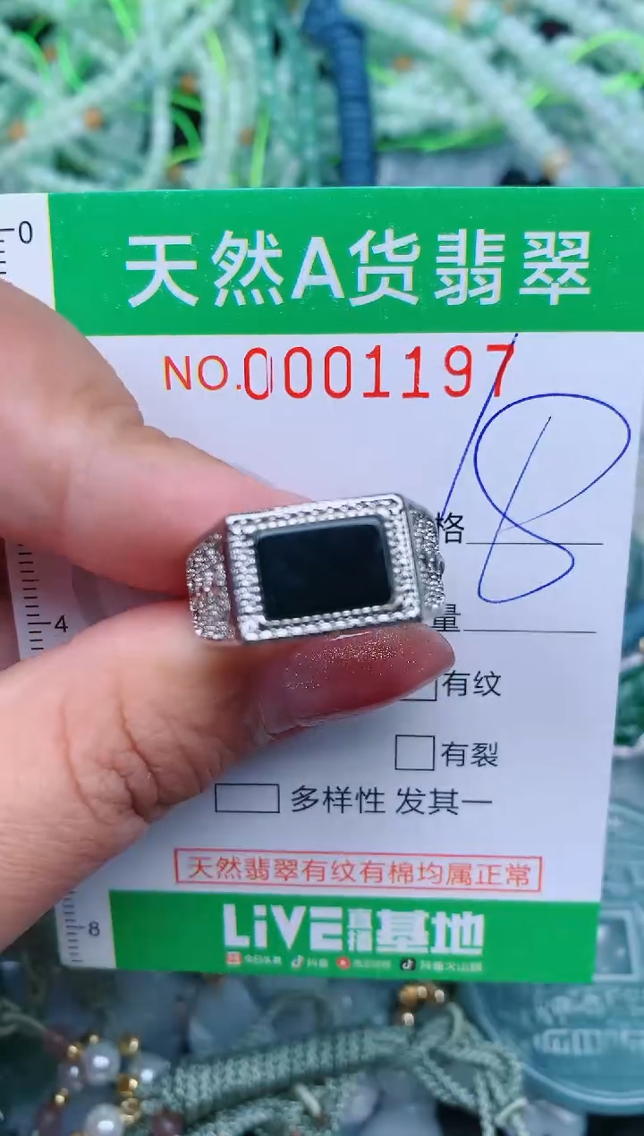 【闪购商品】翡翠颈饰未镶嵌.0001197