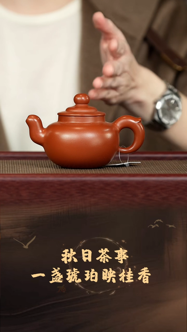 茶壶紫砂 疾风（光）周乾 小红泥 185c