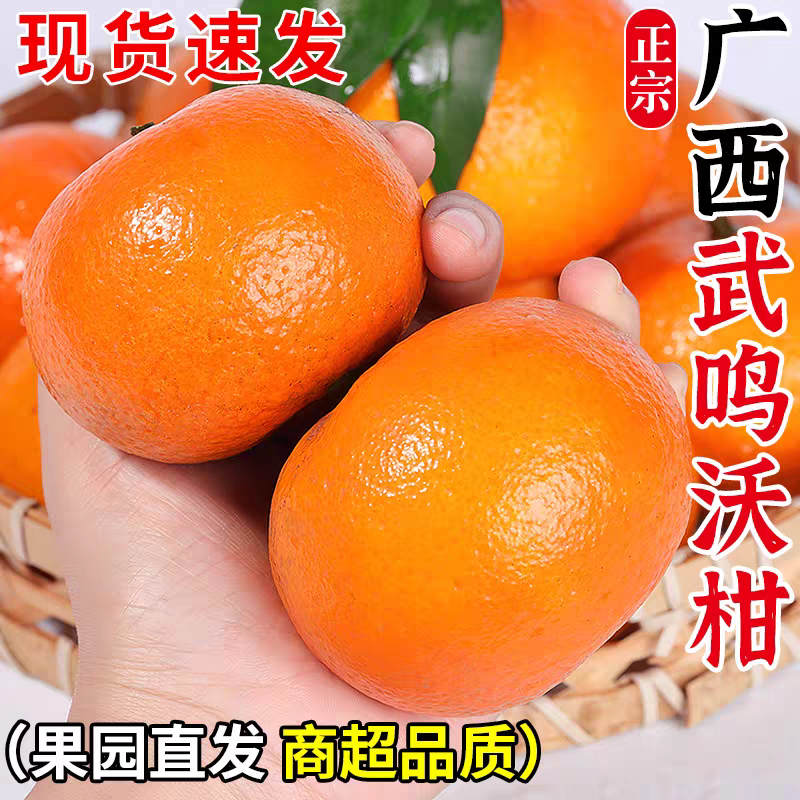 广西沃柑新鲜水果当季整箱时令10现摘斤沙糖蜜橘砂糖柑橘8桔子橘5
