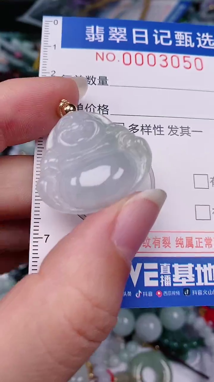 【闪购商品】翡翠颈饰未镶嵌00003050