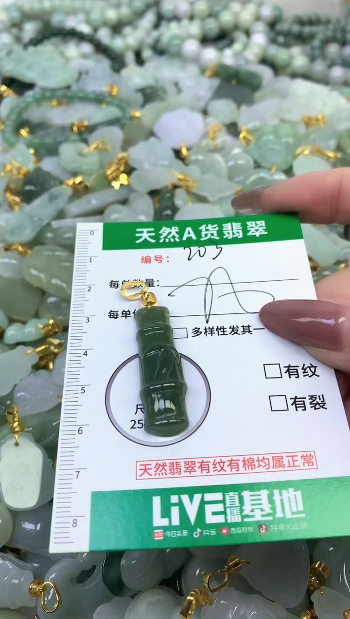 颈饰未镶嵌翡翠纯天然缅甸A货翡翠