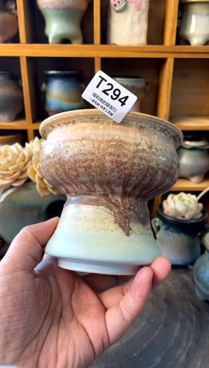 294 内口9【多肉花盆多肉盆】