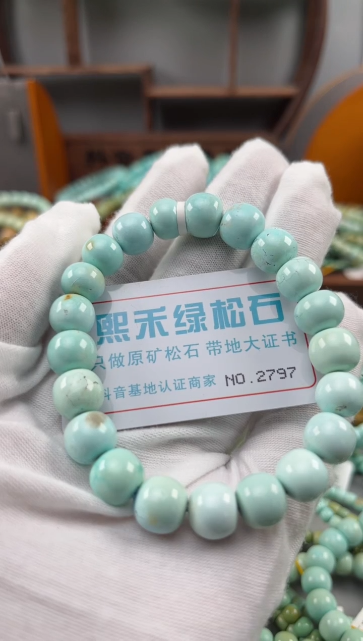 绿松石未镶嵌松石2797