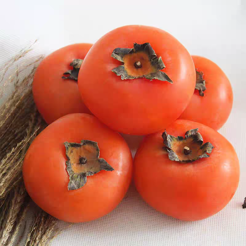 都昌农家新鲜采摘柿子