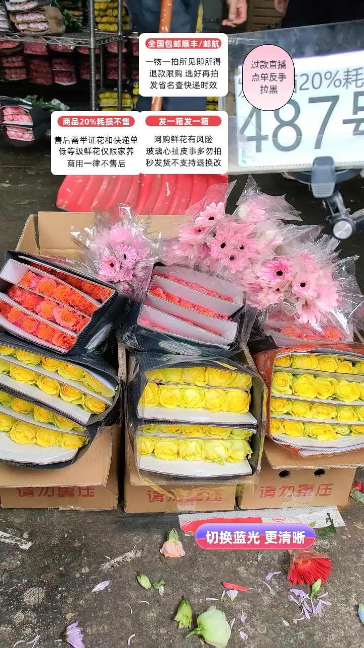 487号♥含20%耗损发一箱