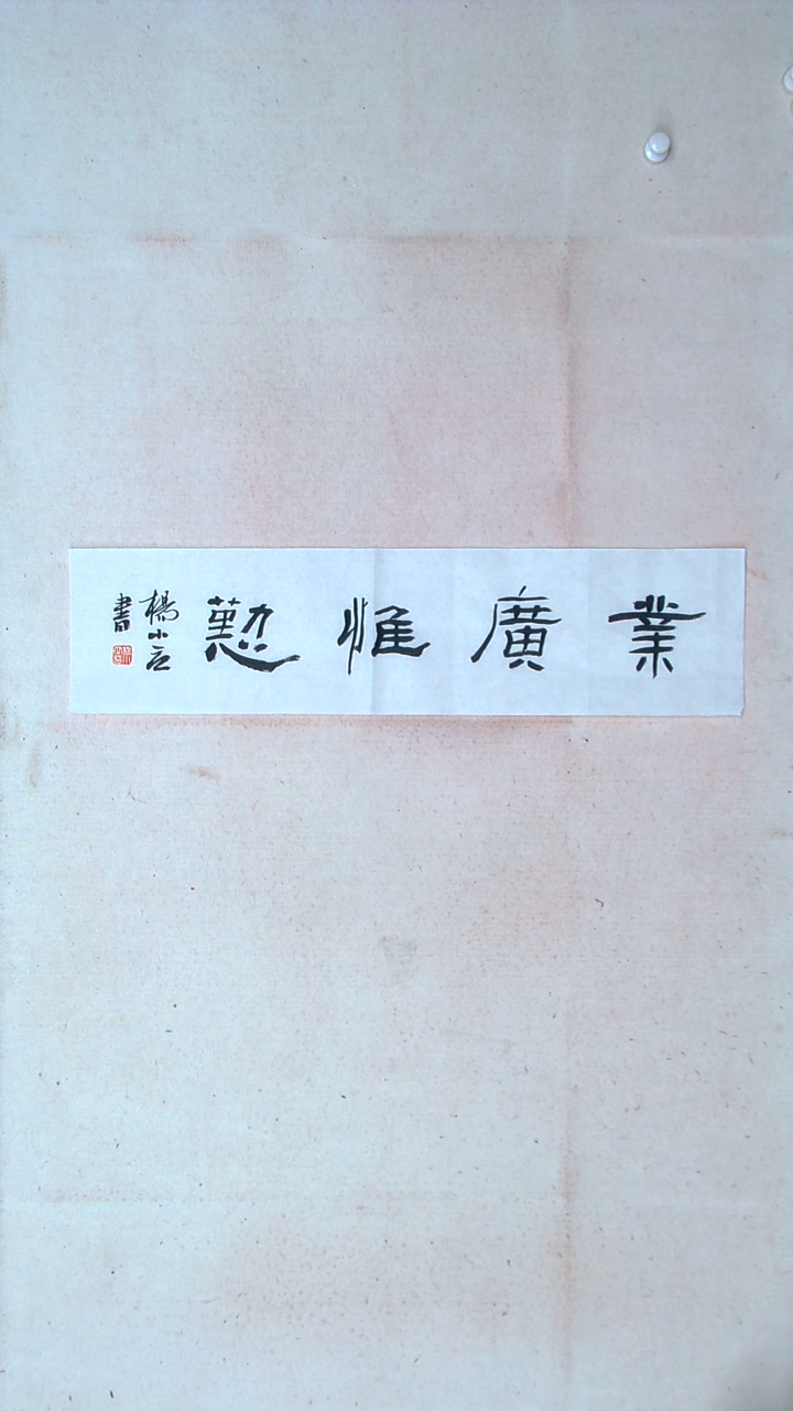 【闪购商品】书法 杨小立河南南阳69*17一平尺