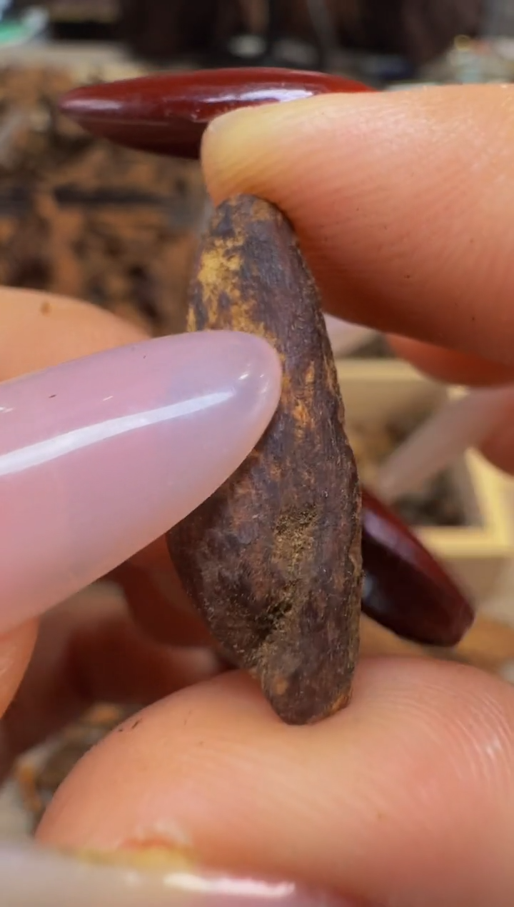 【闪购商品】沉香吊坠越南惠安红土