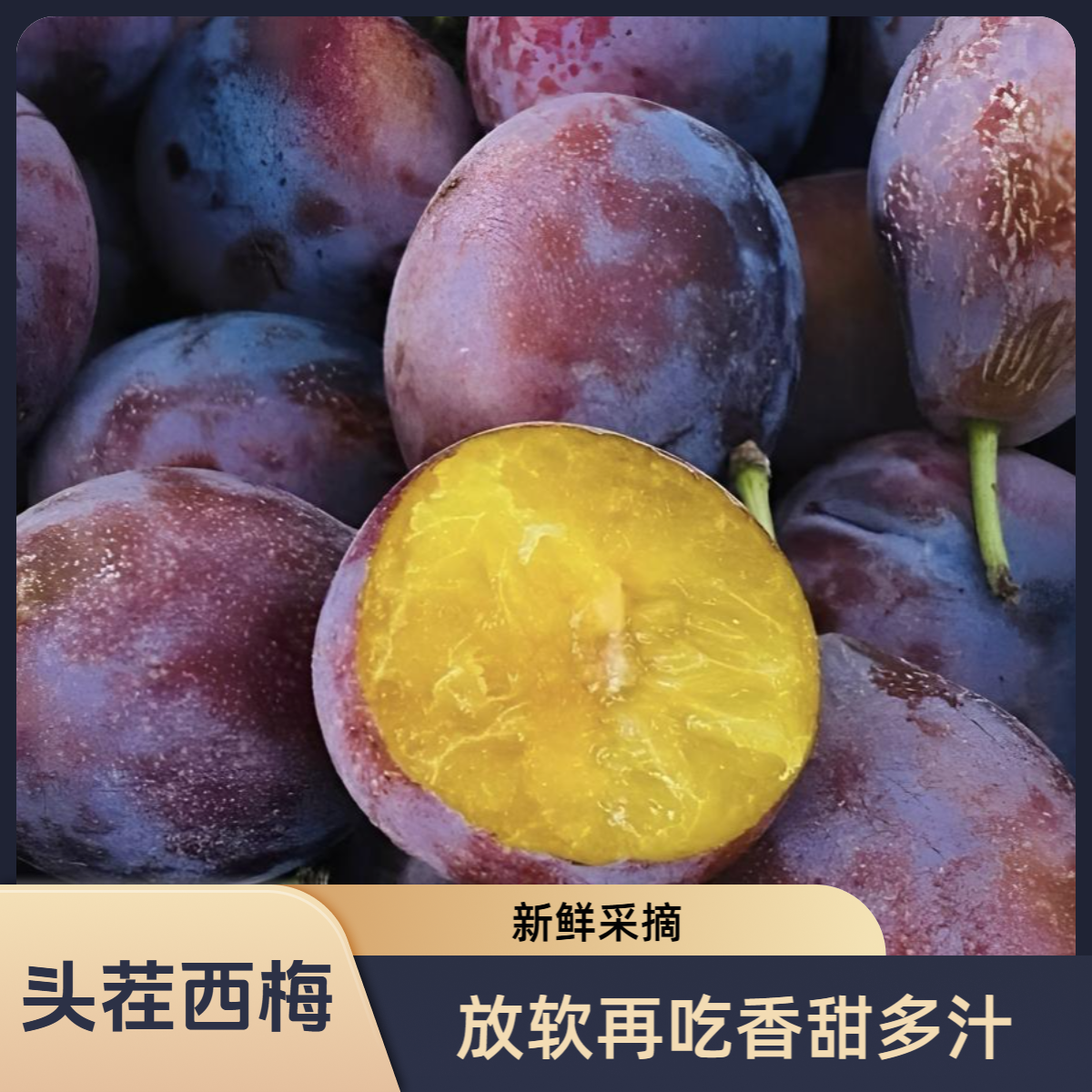 【今天拍明天到】新疆头茬蓝蜜西梅软硬两吃当季新鲜水果